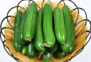 小(xiǎo)青瓜