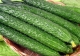 黃(huáng)瓜